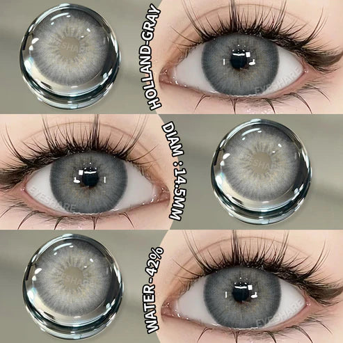 HOLLAND GRAY