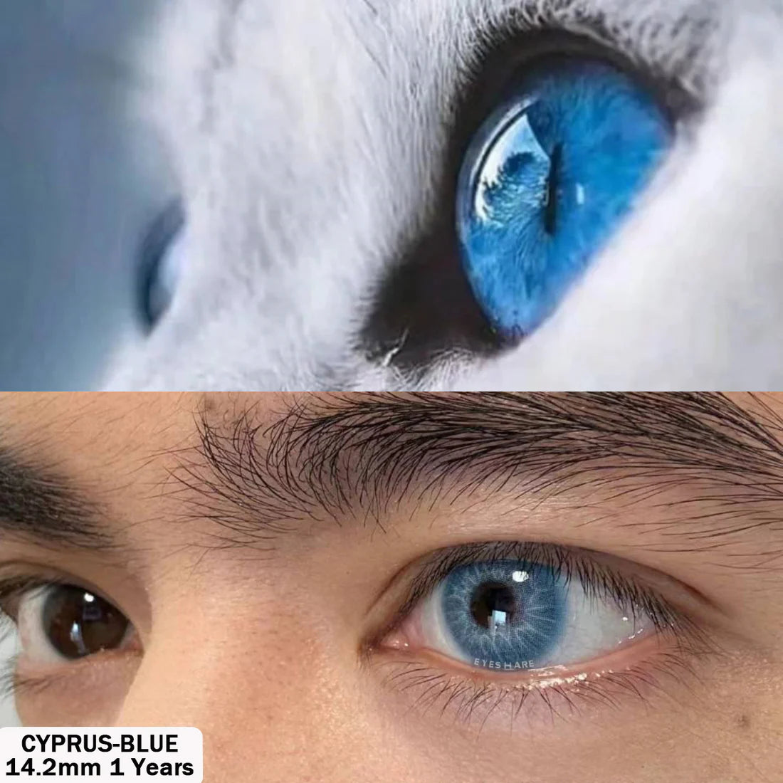 CYPRUS BLUE