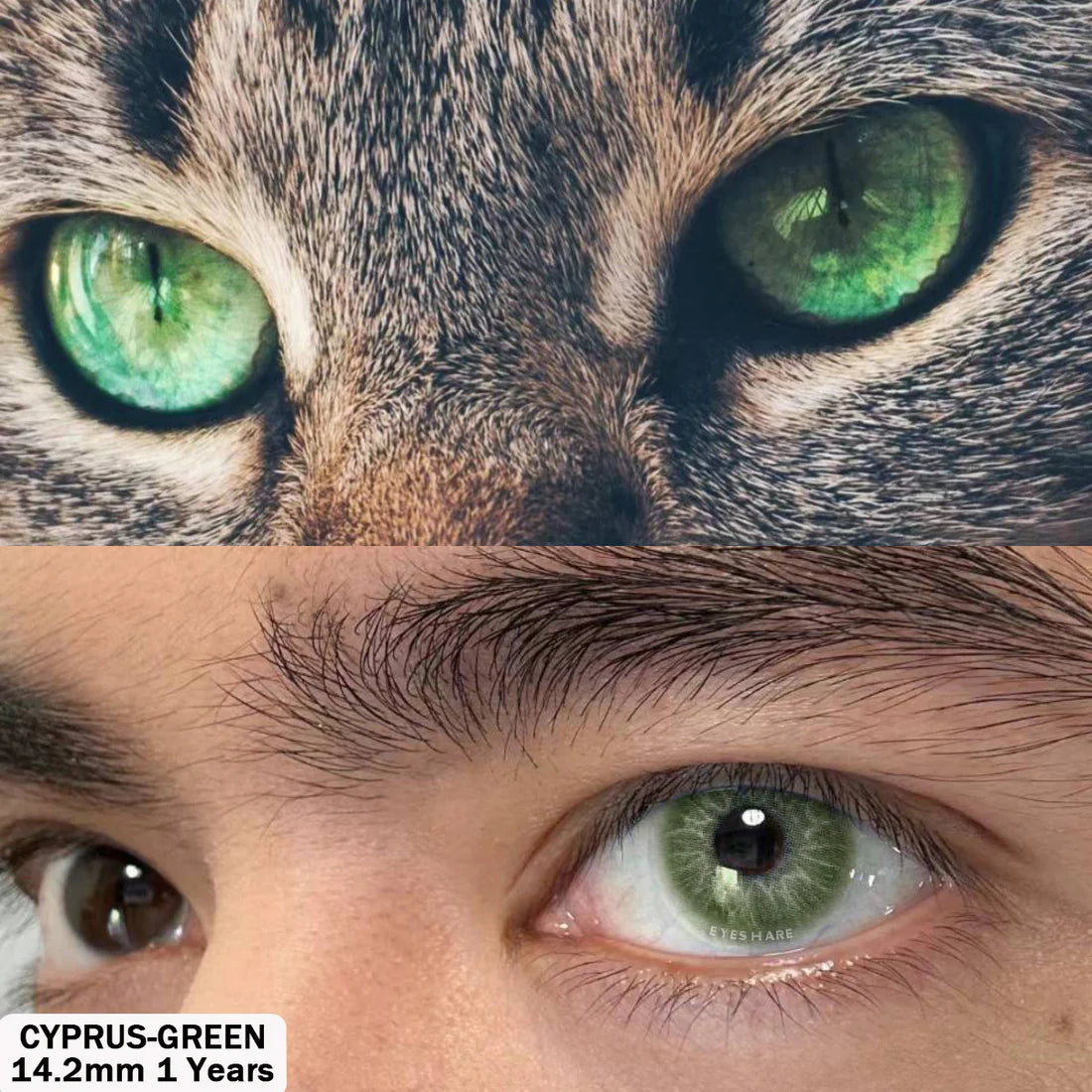 CYPRUS GREEN