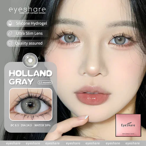 HOLLAND GRAY