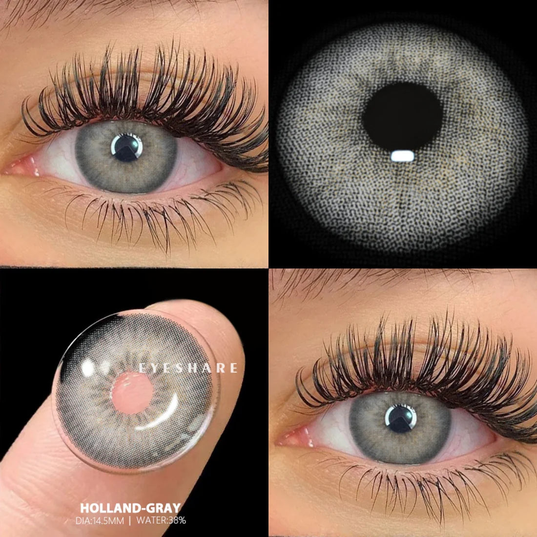 HOLLAND GRAY