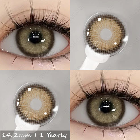 SEMPORNA BROWN