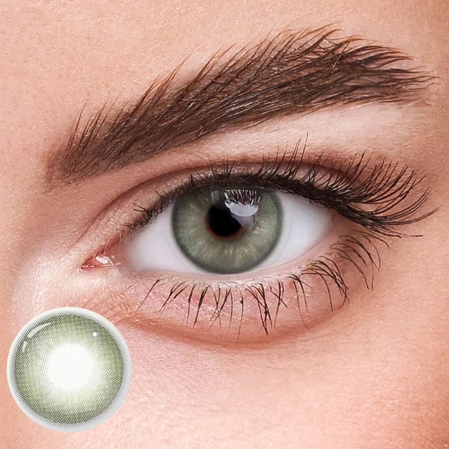 VENICE GREEN